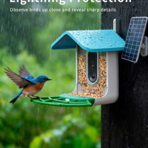 HTM | Smart Bird Feeder